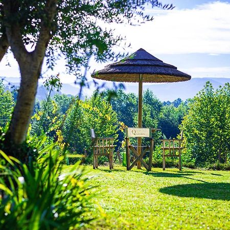 Quinta Da Chouza Agroturismo E Enoturismo Celorico De Basto Exteriér fotografie
