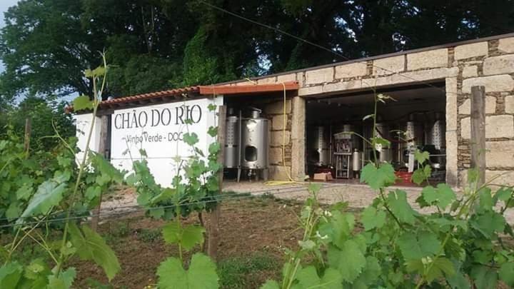 Quinta Da Chouza Agroturismo E Enoturismo Celorico De Basto Exteriér fotografie