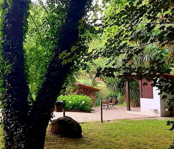 Quinta Da Chouza Agroturismo E Enoturismo Celorico De Basto Exteriér fotografie