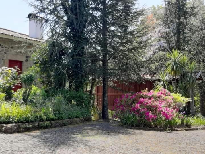 Quinta Da Chouza Agroturismo E Enoturismo Celorico De Basto Exteriér fotografie