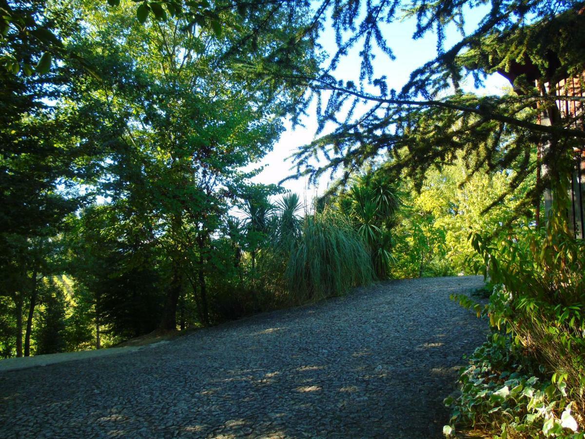 Quinta Da Chouza Agroturismo E Enoturismo Celorico De Basto Exteriér fotografie