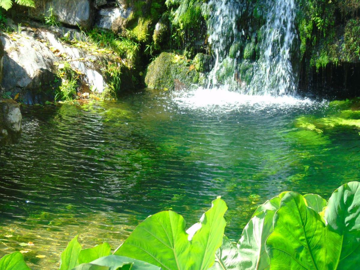 Quinta Da Chouza Agroturismo E Enoturismo Celorico De Basto Exteriér fotografie