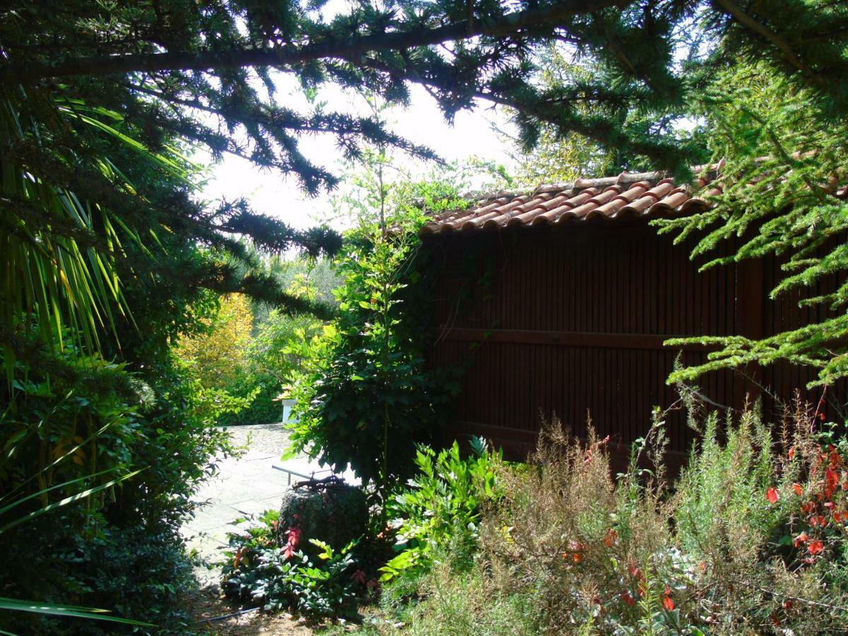 Quinta Da Chouza Agroturismo E Enoturismo Celorico De Basto Exteriér fotografie