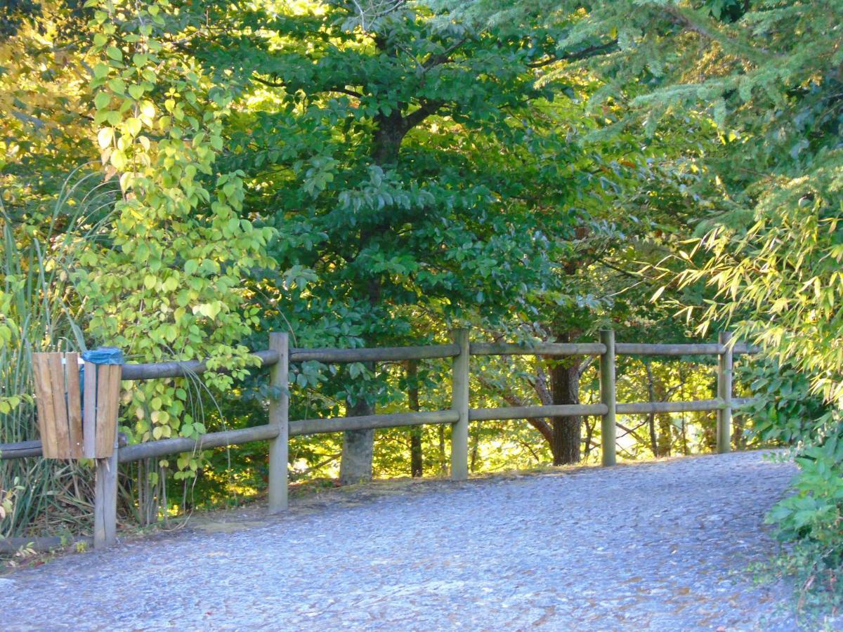 Quinta Da Chouza Agroturismo E Enoturismo Celorico De Basto Exteriér fotografie