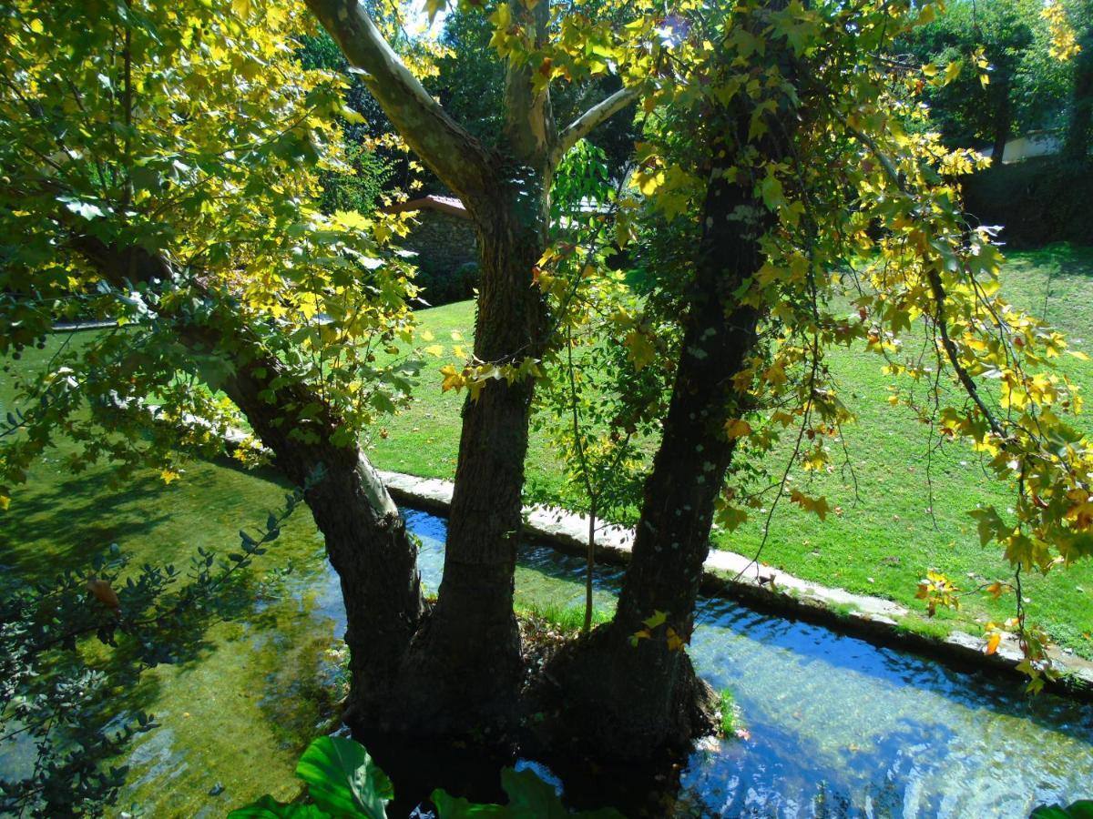 Quinta Da Chouza Agroturismo E Enoturismo Celorico De Basto Exteriér fotografie
